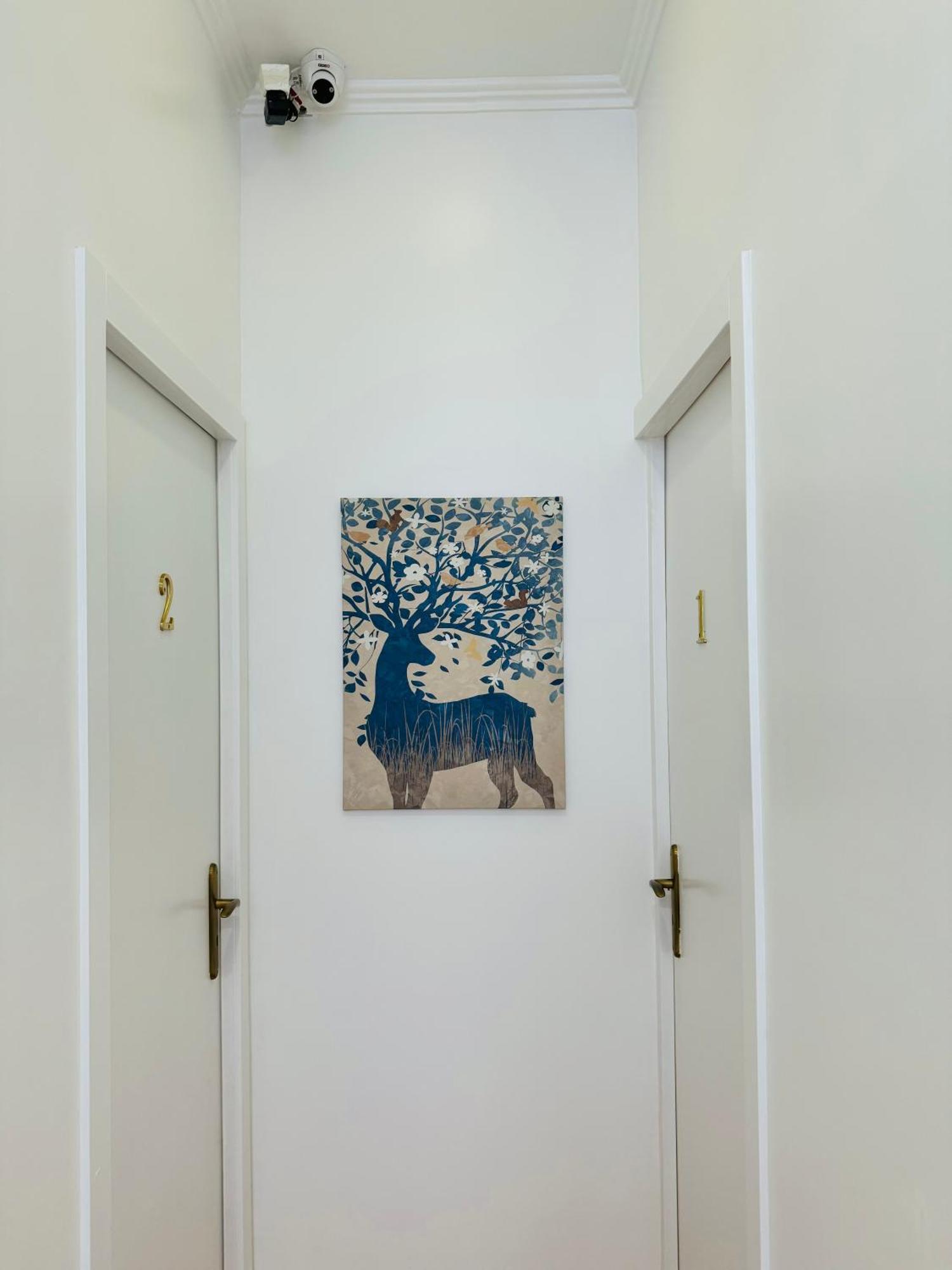 Apartamento Alfama - Lisboa Dış mekan fotoğraf